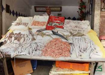 إغلاق محل بائع سمك في مراكش يثير جدلاً والبرلمان يدخل على الخط