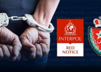 ميناء طنجة المتوسط.. توقيف مواطن سويدي من أصول جنوب أمريكية
