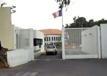 الجزائر وفرنسا.. أزمة جديدة تكشف امتيازات عقارية غير مسبوقة
