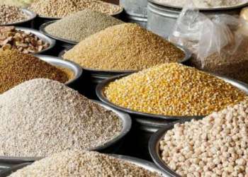 التساقطات المطرية تبشر بانخفاض أسعار الحبوب في المغرب