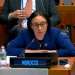 المغرب يفند مزاعم الجزائر في مجلس الأمن بشأن الصحراء المغربية وحقوق الإنسان