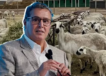 عزيز أخنوش.. عقد ونصف من الإشراف على الفلاحة بين وعود التنمية وواقع الإخفاق