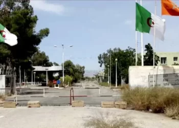 المغرب يسلّم مطلوبًا جزائريًا في قضية تهريب دولي للمخدرات