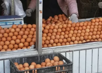 ارتفاع أسعار البيض في المغرب يشعل “حرب اتهامات” بين المنتجين والموزعين