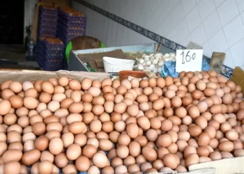 “خليه يفقص”.. حملة مقاطعة ضد غلاء البيض والسمك