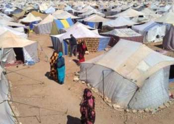 نشطاء صحراويون ينددون بالقمع والانتهاكات في مخيمات تندوف
