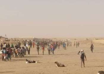 كارثة إنسانية: الجزائر رحلت 5 آلاف مهاجر إلى النيجر منذ بداية أبريل