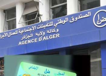  اختراق إلكتروني يستهدف وزارة العمل والتشغيل والضمان الاجتماعي في الجزائر وتسريب 13 جيغابايت من البيانات الحساسة