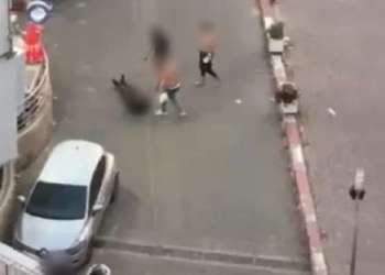 وزير العدل يتوعد بتشديد العقوبات ضد حاملي السلاح الأبيض في الشوارع