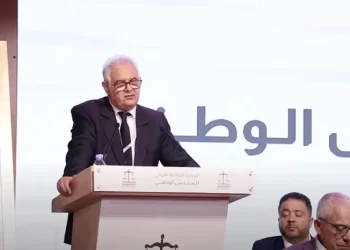 نزار بركة: 2025 ستكون سنة مفصلية في قضية الصحراء المغربية