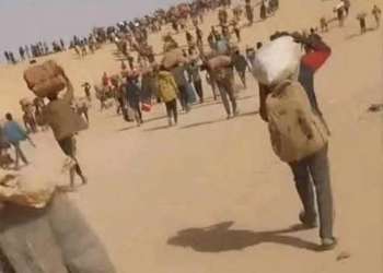 ترحيل جماعي مميت.. مهاجرون ماليون يموتون عطشاً بعد طردهم من الجزائر