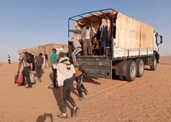 ترحيل جماعي من الجزائر إلى النيجر يُشعل تحذيرات من أزمة إنسانية وشيكة في الصحراء