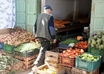 لغز ارتفاع أسعار الخضر بالمغرب.. من المسؤول؟