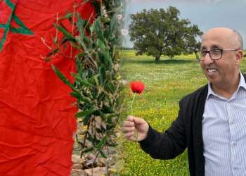 دمنا  وعيوننا يا وطني…بيارق في وجه المحن