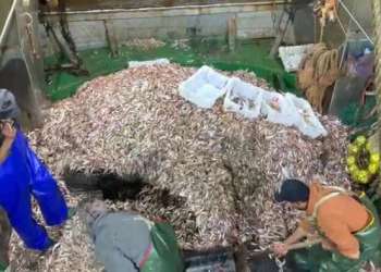 شاحنة محمّلة بالشكوك تنتهي بحجز أطنان من السمك المهرب بأخفنير