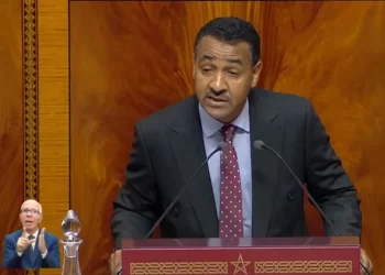 شهيد يتهم العدالة والتنمية بإفشال ملتمس الرقابة من الداخل