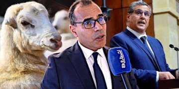 الحكومة تساءل نفسها..الفرفار:هناك جشع وخلل وربح غير أخلاقي في دعم الأغنام “أتقوا الله في المغاربة”
