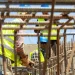 قطاع البناء يسجل انتعاشًا مطردًا والصناعة التحويلية تواجه ضغوط التموين والتمويل