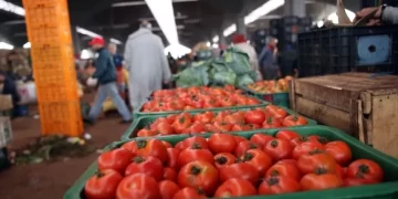 توقعات باستقرار مبيعات قطاع تجارة الجملة في المغرب خلال الفصل الثاني من 2025