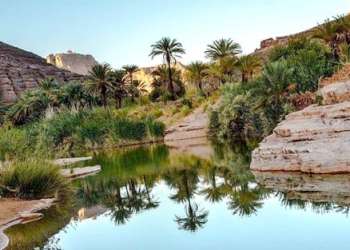 واحات المغرب تواجه خطر الاندثار وسط تحذيرات دولية