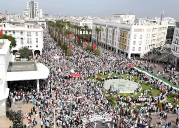 الخارجية المصرية تؤكد تمسكها بالإجراءات التنظيمية بشأن معبر رفح وسط جدل حول منع ناشطين مغاربة