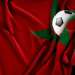 “المغرب 2030” غير قابل للاستغلال