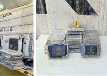 إحباط عملية تهريب دولية لـ25 كيلوغرامًا من الكوكايين بميناء طنجة المتوسط