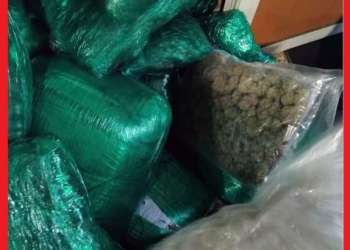 ضبط 133 كيلوغرامًا من “الماريخوانا” بمطار محمد الخامس وتوقيف كنديين يشتبه في تهريبهما للمخدرات