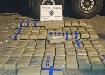 يقظة الجمارك تحبط محاولة تهريب 28 كلغ من الحشيش بميناء بني أنصار