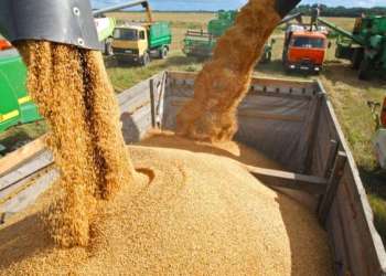 المغرب.. واردات الحبوب تنخفض بـ11% وسط ضغوط عالمية على سوق القمح