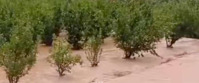 اضطرابات جوية قوية تضرب مناطق جنوب ووسط المغرب وتُخلّف أضرارًا مادية