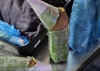 ضبط مسافرة أجنبية بمطار طنجة الدولي بحوزتها أكثر من 13 كيلوغرامًا من الشيرا