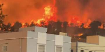 مطالب بإعلان شفشاون «إقليماً منكوباً» بعد حريق غابوي ضخم أتى على مساحات واسعة