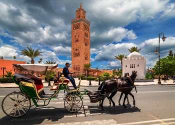 طفرة سياحية.. ارتفاع 13% في ليالي المبيت خلال النصف الأول من 2025
