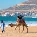 المغرب ضمن أفضل الوجهات العالمية لشهر شتنبر 2025