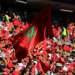 إقبال جماهيري غير مسبوق على تذاكر مباراة المغرب ونيجيريا ضمن تصفيات مونديال 2026