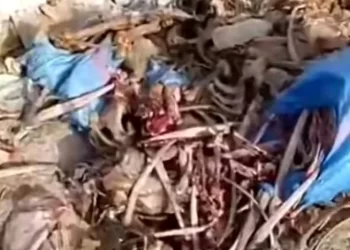حبس ناشر فيديو “جماجم الحمير” بواد أمليل لـ8 أشهر نافذة بعد إدانته بتهم تشهير وتضليل