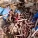 حبس ناشر فيديو “جماجم الحمير” بواد أمليل لـ8 أشهر نافذة بعد إدانته بتهم تشهير وتضليل