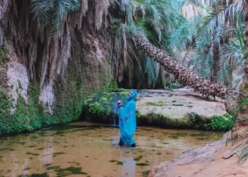 استجابة لنداء الرئيس.. إلغاء أكثر من 21 ألف تذكرة سفر ودعم غير مسبوق للسياحة الموريتانية