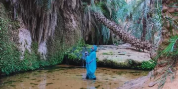 استجابة لنداء الرئيس.. إلغاء أكثر من 21 ألف تذكرة سفر ودعم غير مسبوق للسياحة الموريتانية