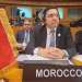 الأمم المتحدة.. المغرب يرسخ حضوره كفاعل مؤثر واستباقي في القضايا الدولية