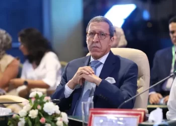 عمر هلال: اعتراف ترامب بمغربية الصحراء مهّد لقرار مجلس الأمن التاريخي