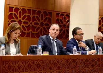 لقجع: ثغرات في الدعم العمومي تسمح أحياناً لـ”تجار الأزمات” بالاستفادة من المال العام
