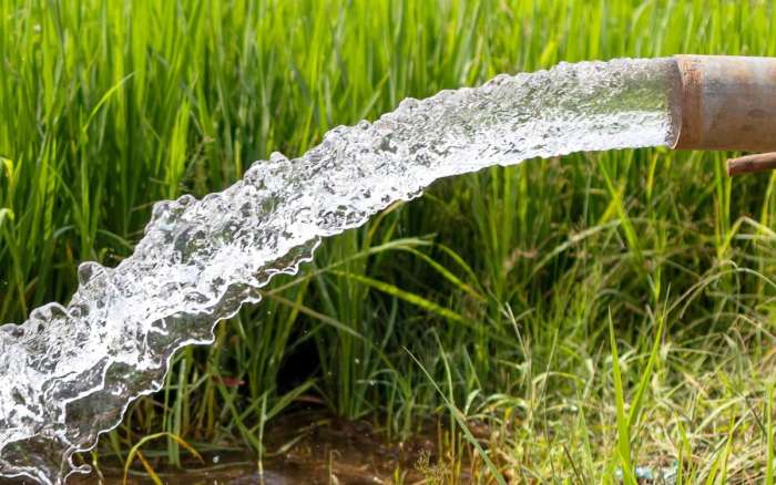 السياسات الفلاحية الحكومية تستنزف مياه المغرب 