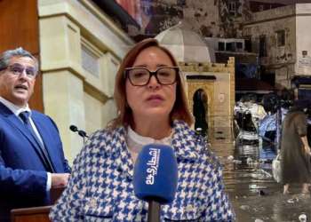 فاطمة التامني: الفساد في المغرب لم يعد يكلّف المال فقط بل يحصد الأرواح