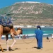 19.8 مليون سائح للمغرب في 2025… رقم تاريخي يفتح معركة الجذب المستدام