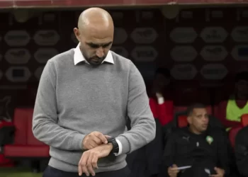 الجامعة تنفي استقالة وليد الركراكي من تدريب المنتخب الوطني