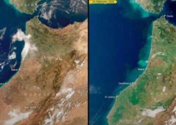 صور فضائية ترصد تحسناً بيئياً ملحوظاً بشمال شرق المغرب بعد تساقطات شتاء 2026