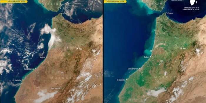 صور فضائية ترصد تحسناً بيئياً ملحوظاً بشمال شرق المغرب بعد تساقطات شتاء 2026