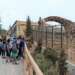 دريم فيلاج تسجل سابقة وطنية بولادة أول زرافة بالمغرب